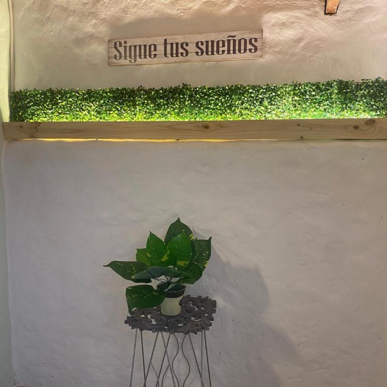 Apartamento cerca al aeropuerto Olaya herrera - Apartamento Deluxe de 3 dormitorios - 8