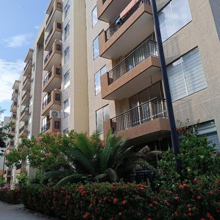 Arriendo Apto Peñalisa Mango - One-Bedroom Apartment - 9