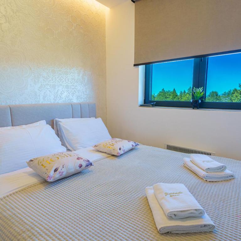 Zlatiborske terase Spa&Wellness - Apartman sa 1 Spavaćom Sobom - 4