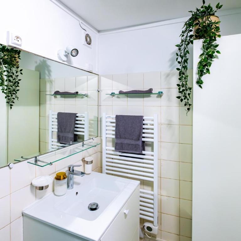 Appartement Typique au Coeur du Marais - Appartement 1 Chambre - 5