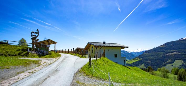 Bergbauernhof Familienparadies Oberhasenberghof - Chalet 1 Chambre - 9