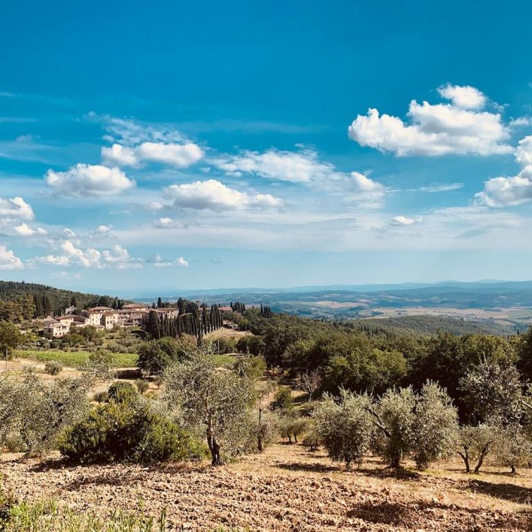 Il ricordo del chianti - Appartamento con 1 Camera da Letto - 16