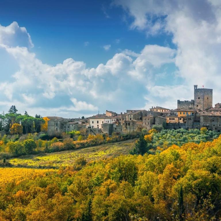 Il ricordo del chianti - Appartamento con 1 Camera da Letto - 17