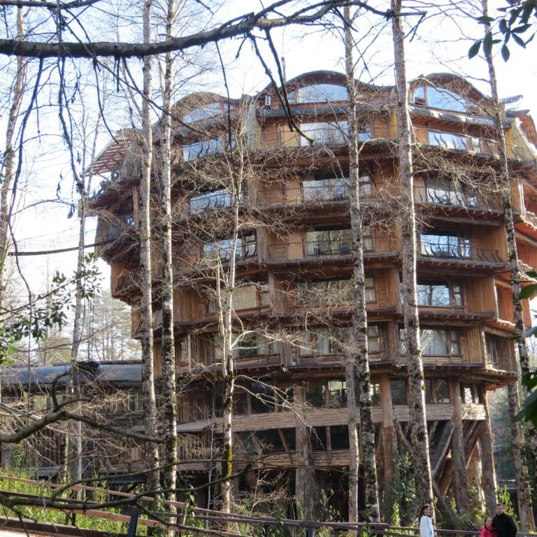 CABAÑITA EN ARRIENDO Neltume huilo huilo Chile - Casa con 1 dormitorio - 91