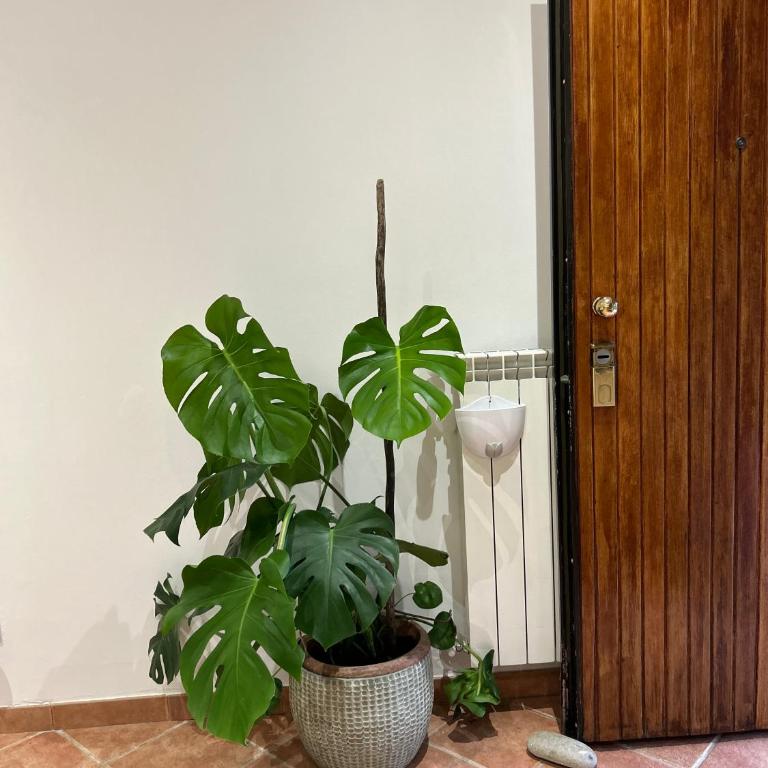 Le tre orchidee Apartments - Appartamento Standard con 1 Camera da Letto - 15