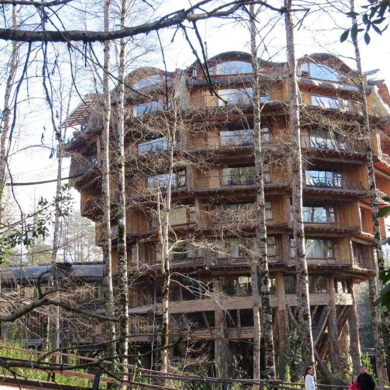 CABAÑITA EN ARRIENDO Neltume huilo huilo Chile - Casa con 1 dormitorio - 38