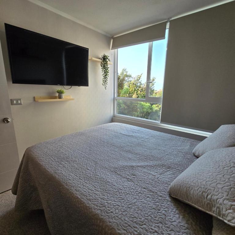 Acogedor moderno y central departamento en el corazón Providencia WiFi mas parcking - Apartamento de 2 dormitorios - 3