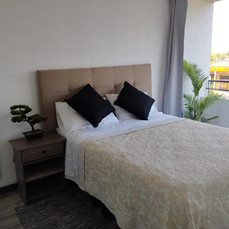 Hermoso Departamento en La Florida - Apartamento de 1 dormitorio - 1