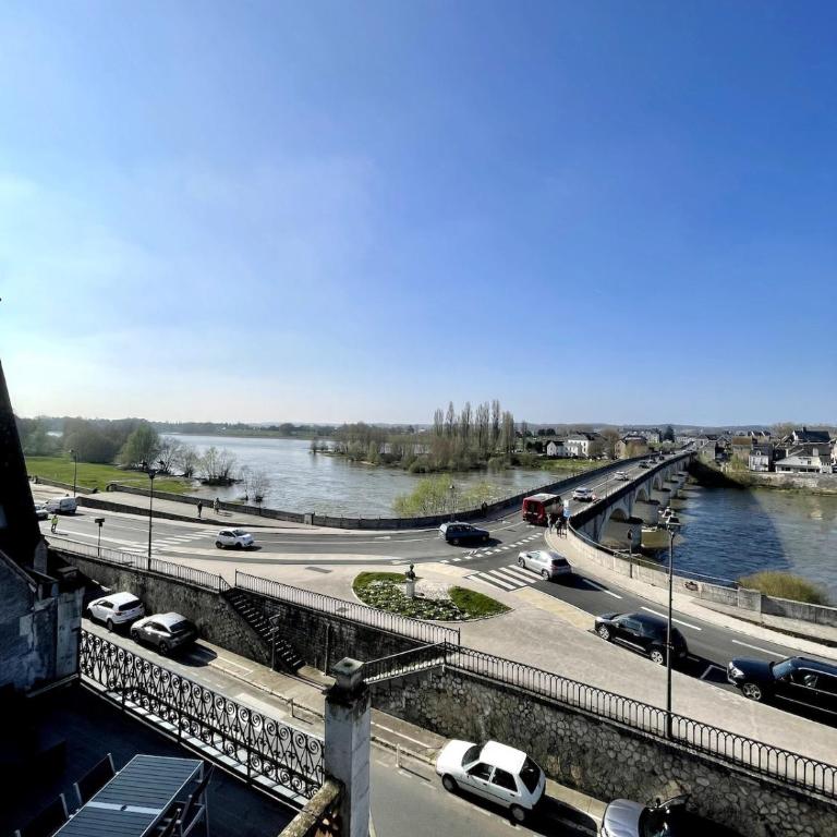 Vue incroyable Loire et Chateau - Apartment mit 2 Schlafzimmern - 21