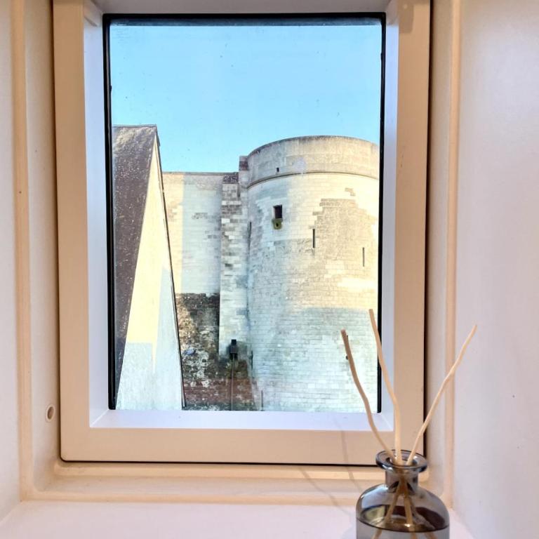 Vue incroyable Loire et Chateau - Apartment mit 2 Schlafzimmern - 30