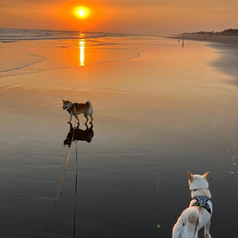 Tranquilo duplex frente al mar - Family Two-Bedroom Apartment with View - 30