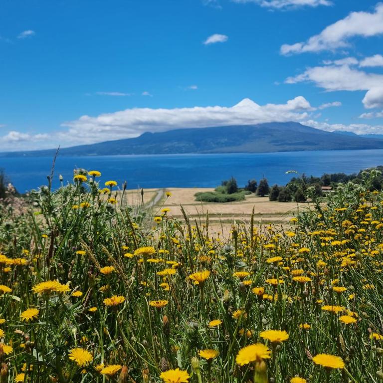 Cabaña rústica maravillosa vista al lago Llanquihue y volcán Osorno - Chalet de 3 dormitorios - 7