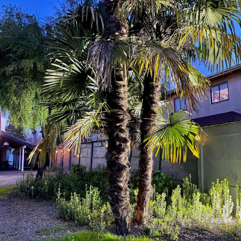 Casa Maitén Chillán - Hermosa Gran Ubicación - Casa de 4 dormitorios - 35