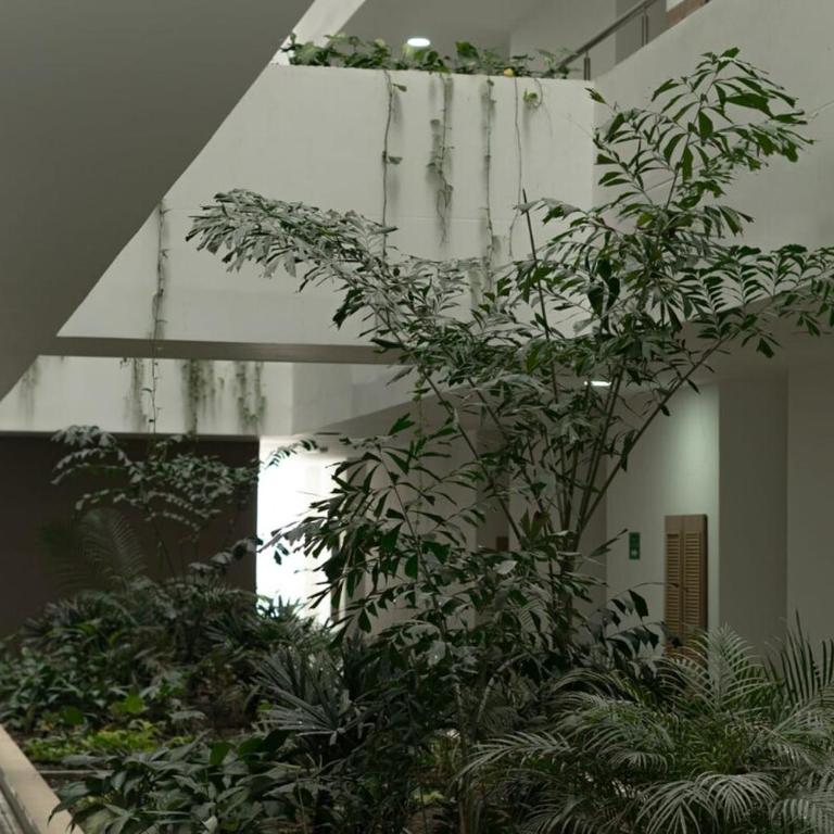 Con jacuzzi privado, laguna y Paddle board - Three-Bedroom Apartment - 28