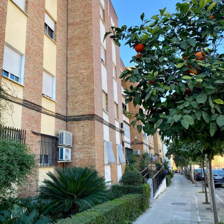 Apartamento en Fátima con excelente conexión a BLET, UCO y Las Quemadas - Apartamento de 3 dormitorios - 29
