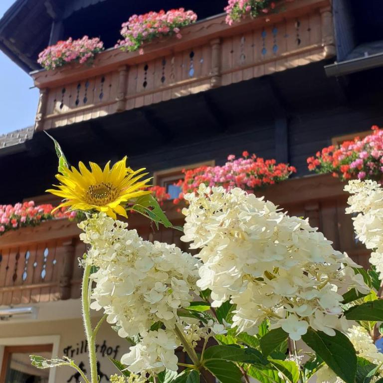 Pension Trillerhof - Appartement 2 Chambres - 2
