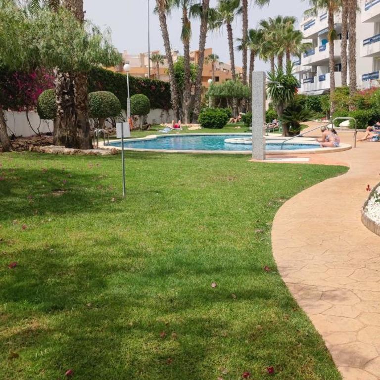 Apartamento Casa del Sol La Calma Playa Flamenca 4 swimming pools 2 bedroom private parking place - Apartamento Suite - 18