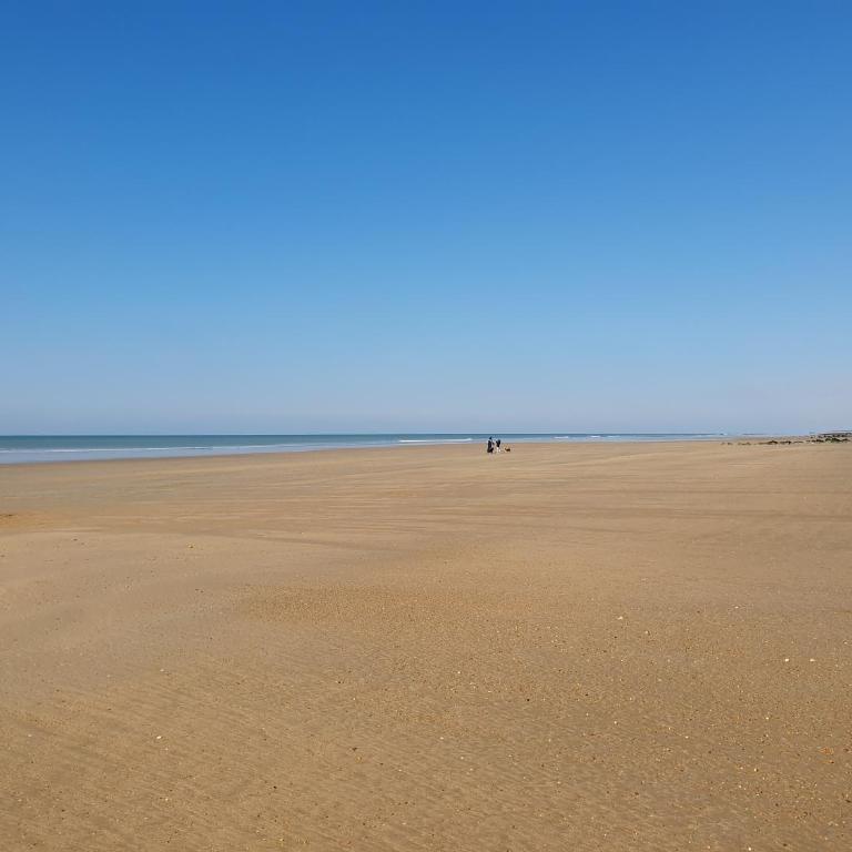 Appartement Les Galées avec terrasse à 100m Plage des Mouettes - Apartment mit 1 Schlafzimmer - 13