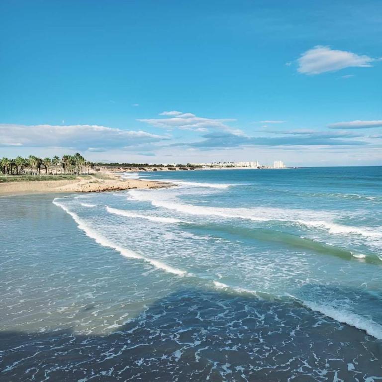 Apartamento Casa del Sol La Calma Playa Flamenca 4 swimming pools 2 bedroom private parking place - Apartamento Suite - 49