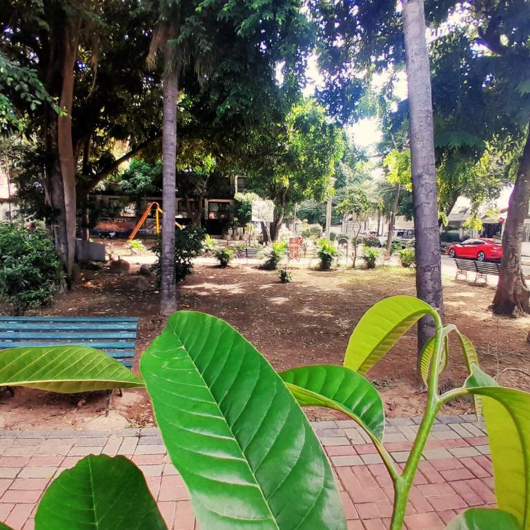 102 Apartamento Moderno en Sirari Palm TV 50 Netflix, Lavadora y Cocina Completa - Apartamento de 1 dormitorio - 33