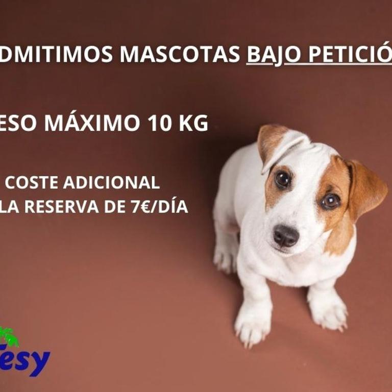 Apartamentos Tesy - Apartamento de 1 dormitorio - 3