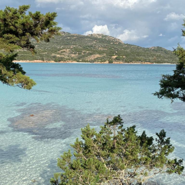 Superbe Villa Porto Vecchio vue mer plage à pied - Villa - 41