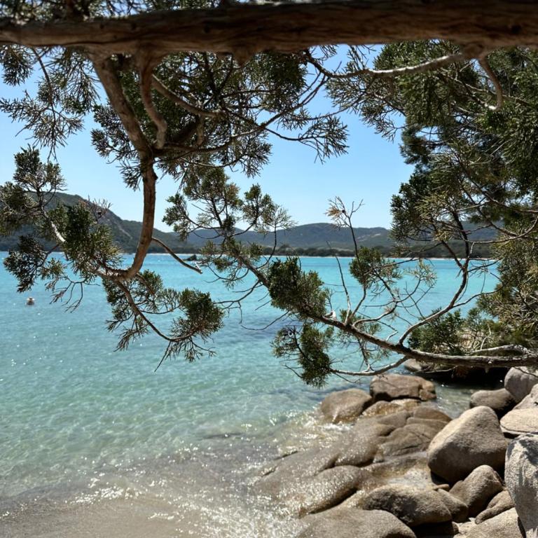 Superbe Villa Porto Vecchio vue mer plage à pied - Villa - 35