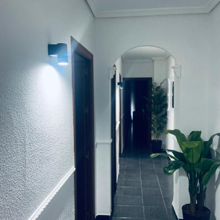 Las Fadrique - Apartamento de 3 dormitorios - 6