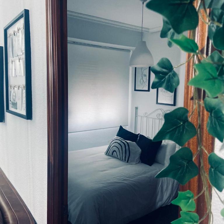 Las Fadrique - Apartamento de 3 dormitorios - 13