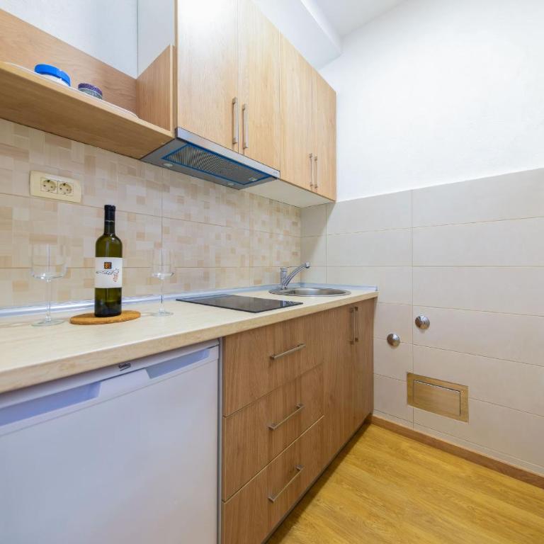 Villa Popovic Apartments - Studio sa Terasom - 3