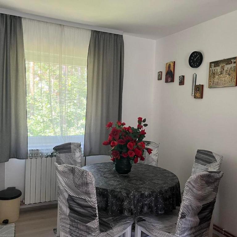 Divčibare kuća Jure - Kuća sa 2 Spavaće Sobe - 1