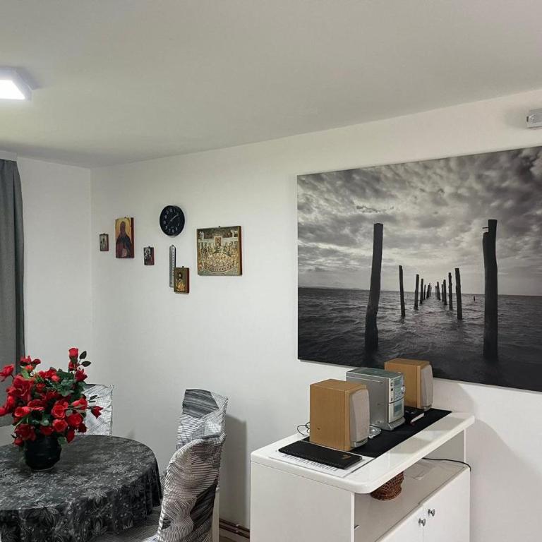Divčibare kuća Jure - Kuća sa 2 Spavaće Sobe - 24