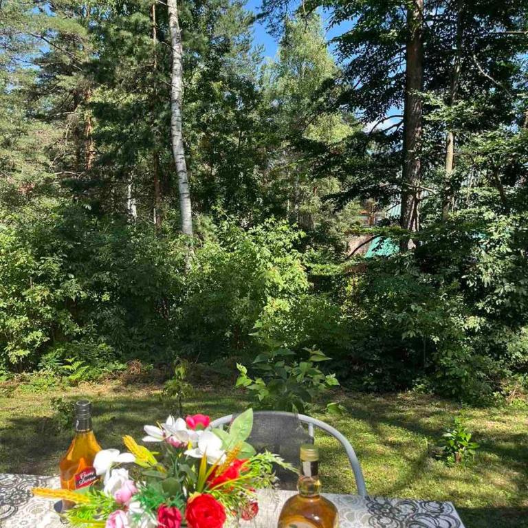 Divčibare kuća Jure - Dvokrevetna Soba sa Bračnim Krevetom i Pogledom na Park - 13