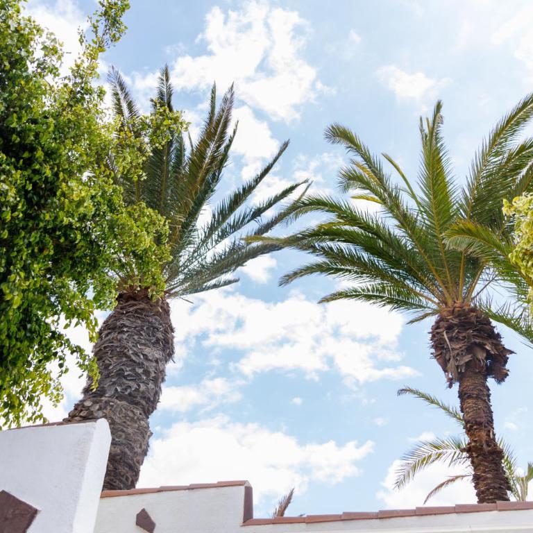 Fully refurbished Private 3BR Villa Heated Pool - Casa Vacacional de 3 dormitorios - 54