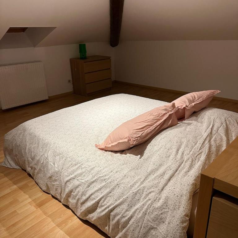 Bel appartement avec wifi à Noyarey - Apartamento de 2 dormitorios - 4