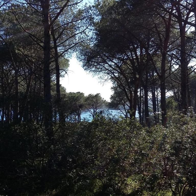 Rosanna House in Bombarde Beach - Appartamento con 2 Camere da Letto - 50