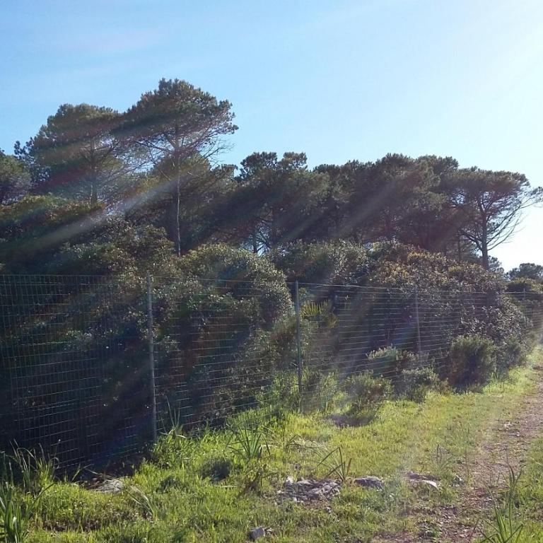 Rosanna House in Bombarde Beach - Appartamento con 2 Camere da Letto - 36