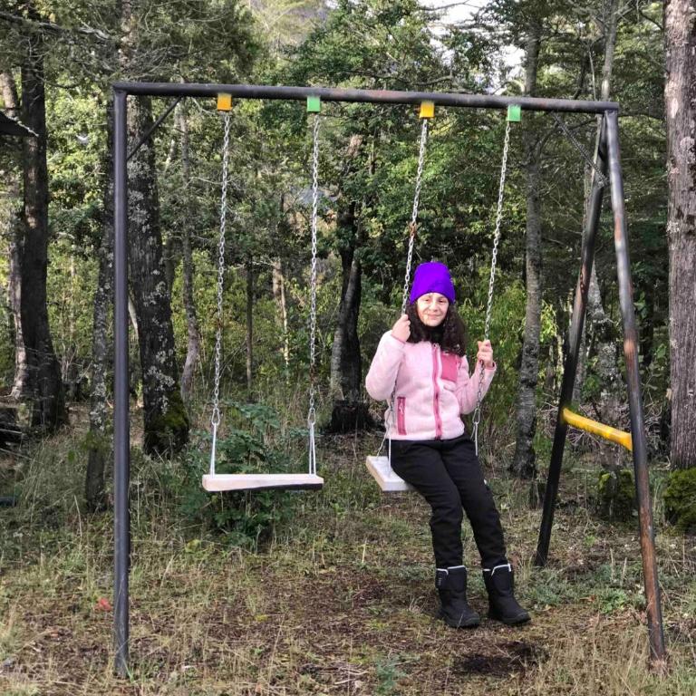 Cabaña en Parcela camino al Conguillío 1 - Casa de 2 dormitorios - 6