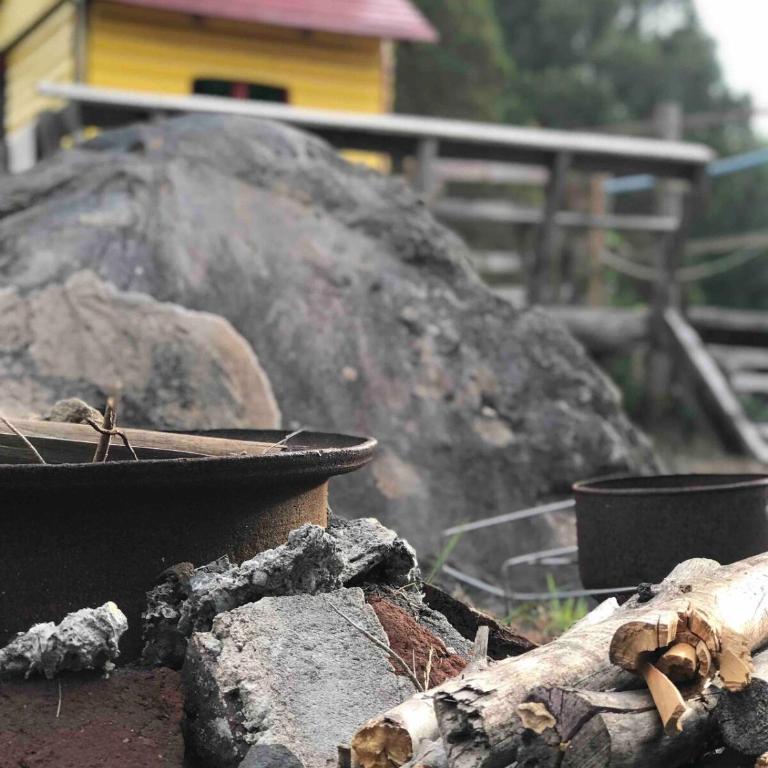 Cabaña en Parcela camino al Conguillío 1 - Casa de 2 dormitorios - 11