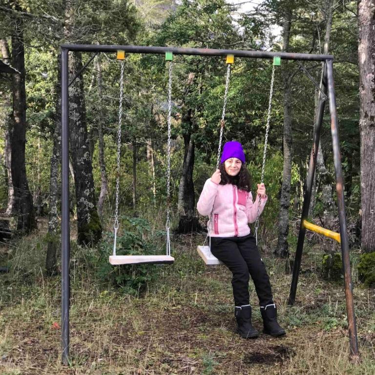 Cabaña en Parcela camino al Conguillío 1 - Casa de 2 dormitorios - 12