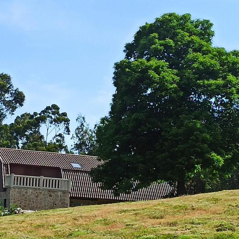 O Outeiro Da Tía Mucha - Four-Bedroom House - 28