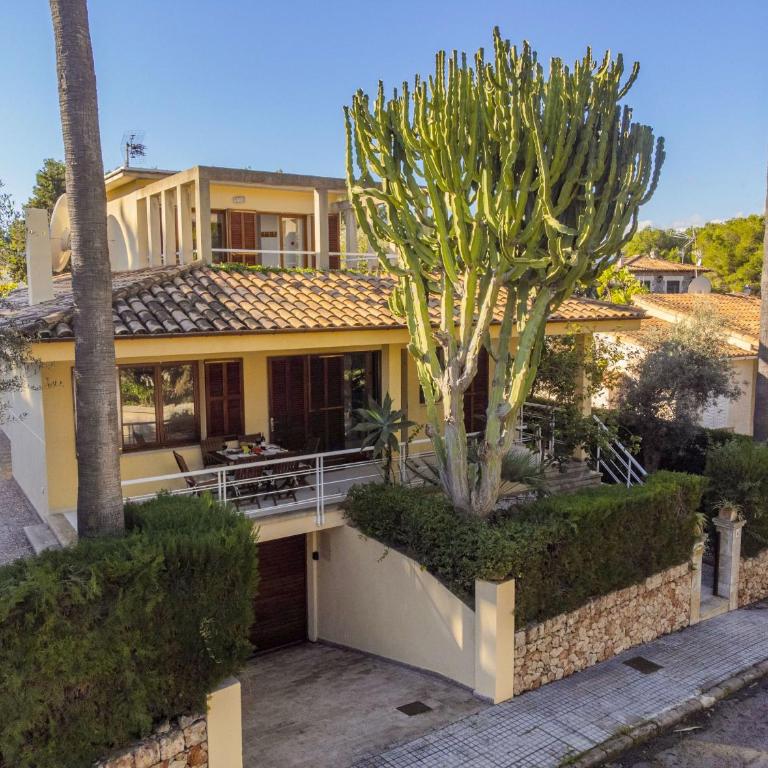 Can Cuart - Villa con piscina privada - 46