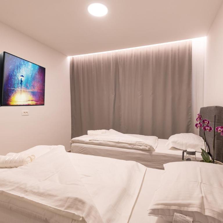 Cosmic Gate Sarajevo - Apartman sa 2 Spavaće Sobe - 13
