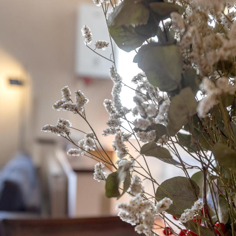 GuestHost - Ferrara Renaissance Suite - Monolocale - 21
