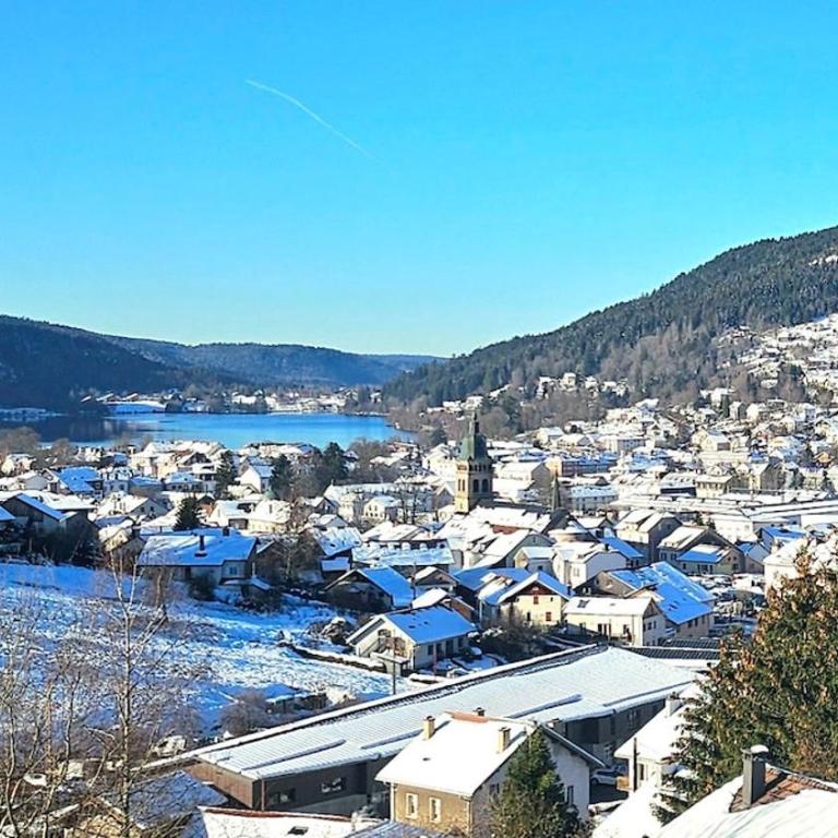 f2 VUE INCROYABLe sur lac avec jardin avec balnéo et 400m centre - Appartement - 1