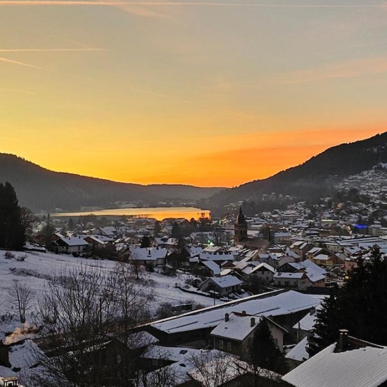 f2 VUE INCROYABLe sur lac avec jardin avec balnéo et 400m centre - Appartement - 11