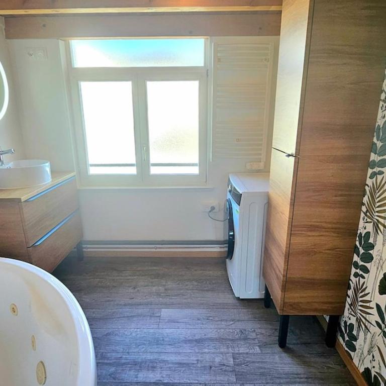 f2 VUE INCROYABLe sur lac avec jardin avec balnéo et 400m centre - Appartement - 6
