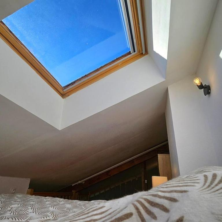 f2 VUE INCROYABLe sur lac avec jardin avec balnéo et 400m centre - Appartement - 14