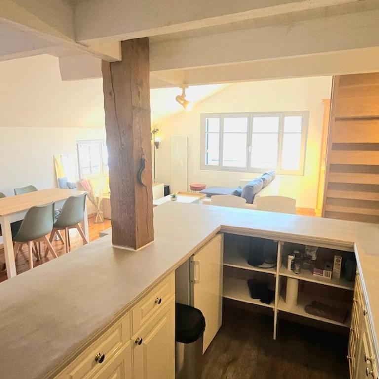 f2 VUE INCROYABLe sur lac avec jardin avec balnéo et 400m centre - Appartement - 12