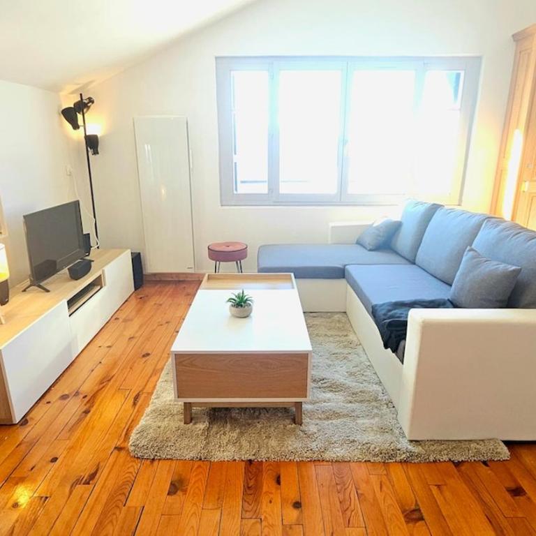 f2 VUE INCROYABLe sur lac avec jardin avec balnéo et 400m centre - Appartement - 15